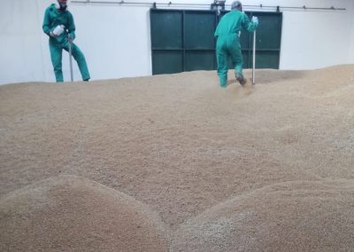 biocidas-agrocast-sevilla-3